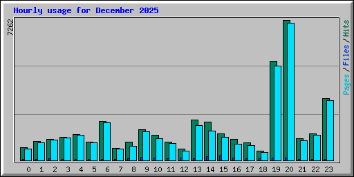 Hourly usage for December 2025