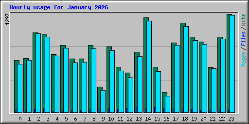 Hourly usage for January 2026