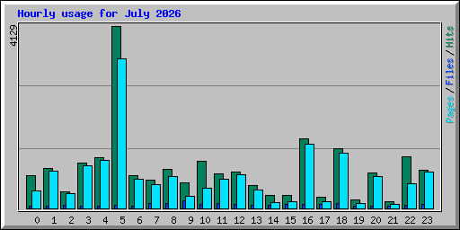 Hourly usage for July 2026